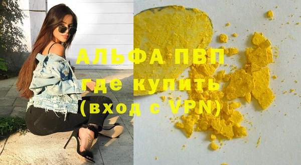 ешки Вяземский