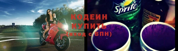 ешки Вяземский