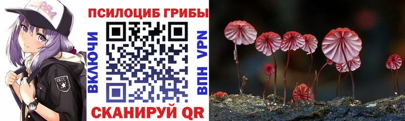 Галлюциногенные грибы ЛСД  закладка  Северодвинск 