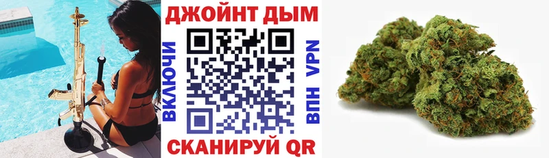 Бошки марихуана индика  наркотики  Северодвинск 